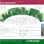 RBGE BENMORE PANELS 2